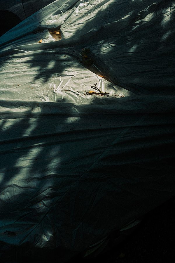 Leica Fotografie von Sebastian Haas, Fotograf aus Kiel (5)