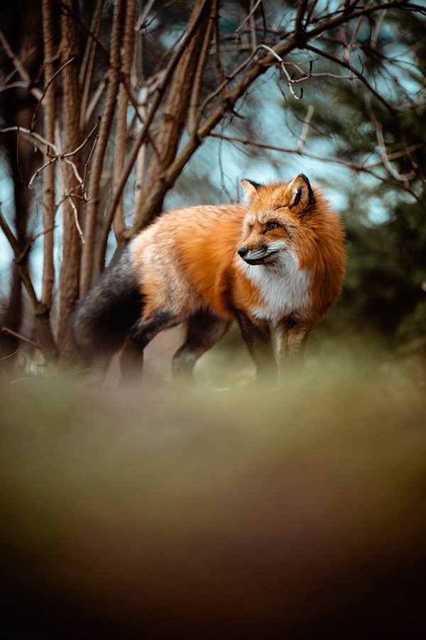 Fotografie von Sebastian Haas, Fotograf Kiel | Tourismus (6)