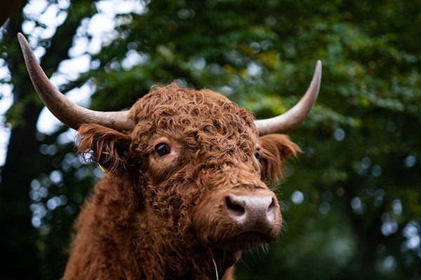 Fotografie von Sebastian Haas, Fotograf Kiel | Tourismus (8)