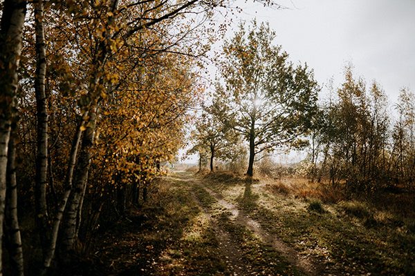 Fotografie von Sebastian Haas, Fotograf Kiel | Tourismus (35)